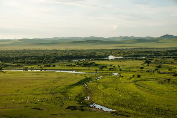 Mongolia Interior Hulunbeier Ergun sunset Root River Humedales — Foto de Stock