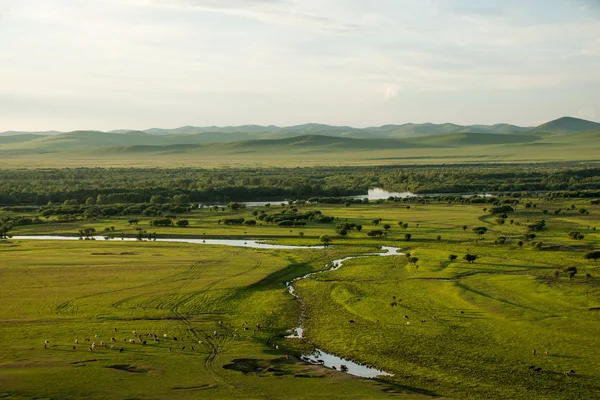 Inre Mongoliet hulunbeier förrut solnedgång rot floden våtmarker — Stockfoto