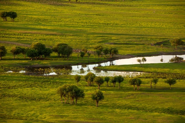 Mongolia Interna Hulunbeier Ergun sunset Root River Wetlands — Foto Stock