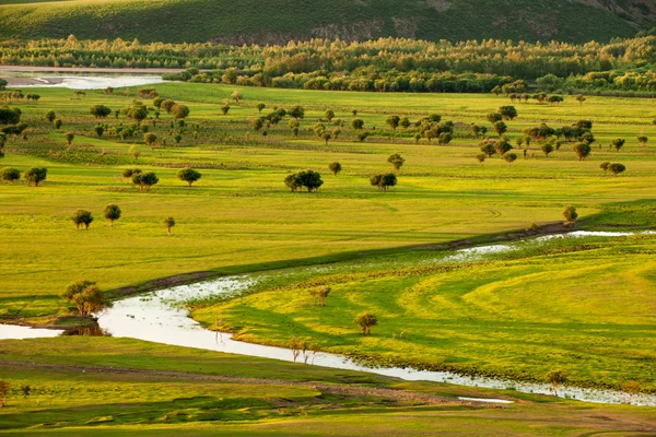 Binnen-Mongolië hulunbeier ergun zonsondergang wortel rivier wetlands — Stockfoto