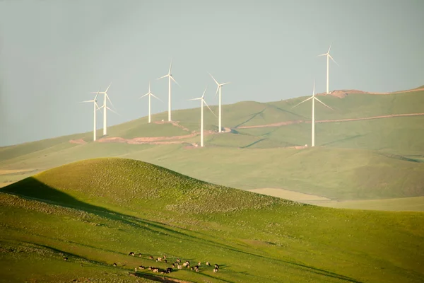 Inre Mongoliet hulunbeier förrut vindkraftverk — Stockfoto