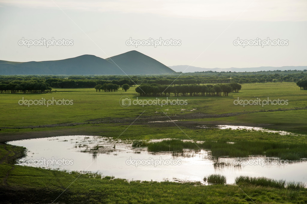 Inner Mongolia Hulunbeier Ergun Root River Wetlands