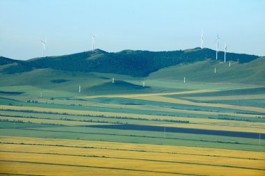 İç Moğolistan hulunbeier ergun kök nehir sulak kanola çiçek alanları kenarları