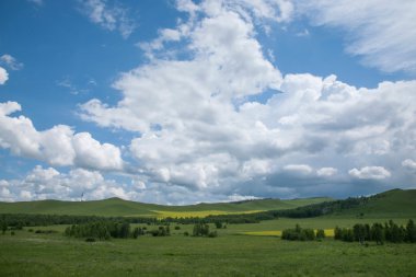 hulunbeier ergun otlak