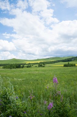 hulunbeier ergun otlak