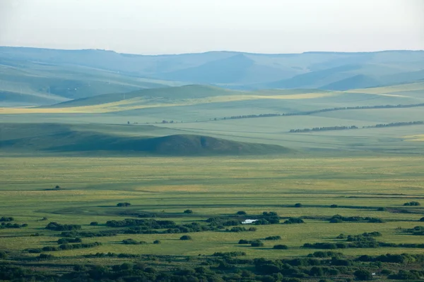 Innere Mongolei hulunbeier ergun Morgendämmerung des Wurzelflusses Feuchtgebiete — Stockfoto