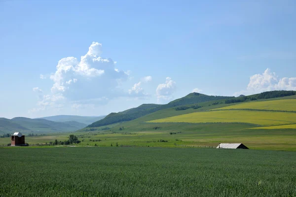 Mongolia wewnętrzna hulunbeier ergun korzeń rzekę podmokłych krawędzie medina — Zdjęcie stockowe