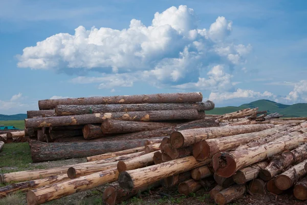 Mongolie intérieure Hulunbeier quantité Ergunaen cour de stockage de bois et la ville — Photo