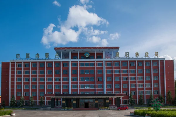 Mongolia Interior Hulunbeier Ergun Tai Hing Lam District Oficina forestal Mangui — Foto de Stock