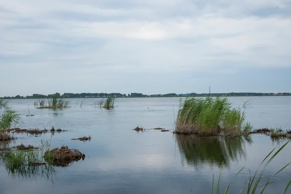 Zhalong natuurreservaat, qiqihar kraan marsh — Stockfoto