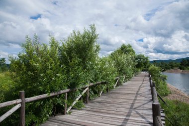 Heilongjiang mohe arctic Köyü arctic kum daxinganling orman iz