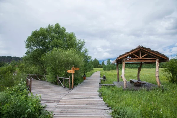 Heilongjiang Mohe Arctic Village Arctic sandbar Daxinganling forest trail — Stock Photo, Image