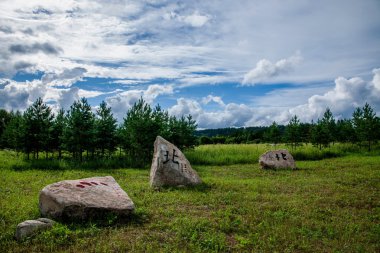 daxinganling mohe, heilongjiang province, Kuzey Kutup Köyü arctic kum Asya tipi fontları yüz kare ağız 