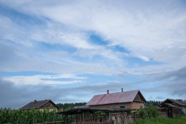 daxinganling mohe heilongjiang province içinde yaşayan köylüler arctic bitkileri