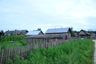 daxinganling mohe heilongjiang province içinde yaşayan köylüler arctic bitkileri