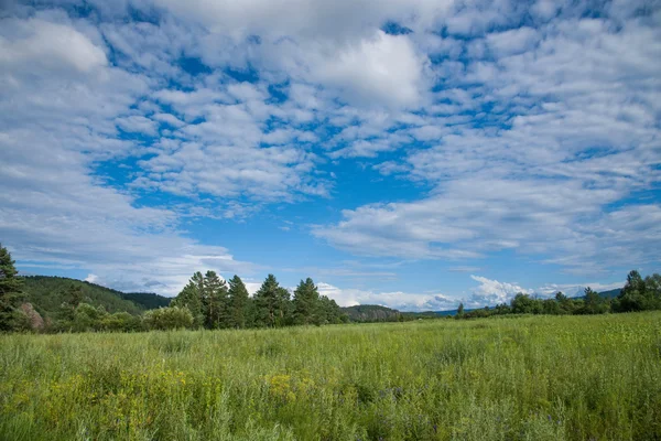 Daxinganling mohe, heilongjiang provincie graslanden Arctische dorp Arctische zandbank — Stockfoto