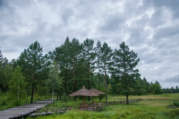 Daxinganling Mohe, Provincia de Heilongjiang Pueblo Ártico Parque Nacional Norte Puentes del lago mes —  Fotos de Stock