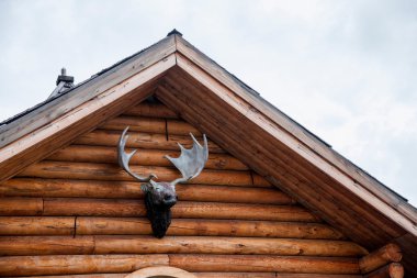 daxinganling mohe, heilongjiang province arctic Köyü kutup kuzey Milli Parkı Noel Köyü evi Kızıl geyik süsler kafa.