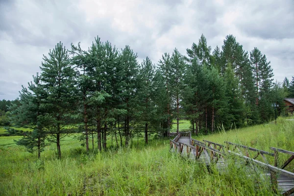 Daxinganling Denisa, heilongjiang provincie arktické vesnice arktické severní národní park vánoční vesnice mosty — Stock fotografie