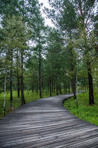 Daxinganling Denisa, heilongjiang provincie arktické vesnice arktické severní národní park vánoční vesnice mosty — Stock fotografie