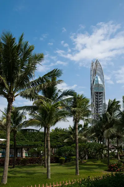 Shenzhen, guangdong provinsen dameisha waterfront park tower — Stockfoto