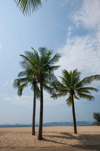 Província de Guangdong, praia de Shenzhen Meisha na praia de palmeiras — Fotografia de Stock