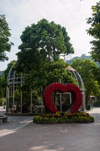 Shenzhen city, guangdong Eyaleti, Doğu dameisha orman kare aşk Galerisi — Stok fotoğraf