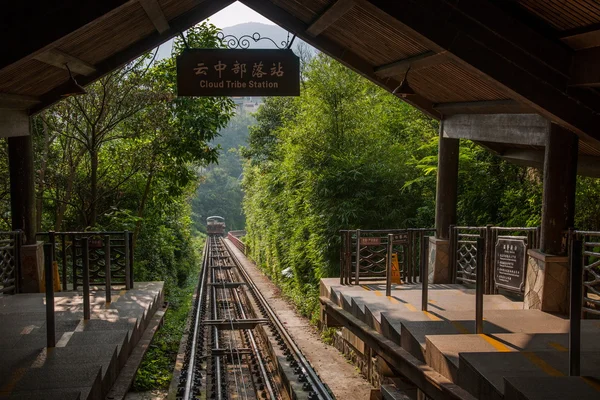 Miasta Shenzhen, w prowincji guangdong, wschód dameisha dżungli tramwajem linii 1 — Zdjęcie stockowe