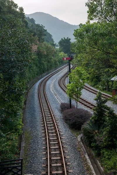 Shenzhen City, Guangdong Province, East Dameisha tea valley forest train railway — Stock Photo, Image