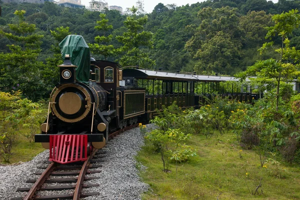 Shenzhen City, província de Guangdong, leste Dameisha chá vale floresta trem ferroviário — Fotografia de Stock