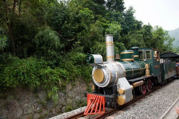 Shenzhen stad, guangdong provincie, Oost-dameisha thee vallei bos trein spoor — Stockfoto