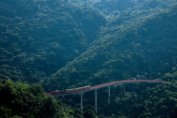 Shenzhen City, Guangdong Province, East Dameisha tea valley curved extension of the forests in the mountains train railway — Stock Photo, Image