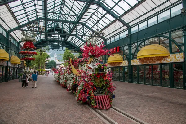 Shenzhen city, Guangdongprovinsen, east dameisha te stream dalen interlaken marknaden — Stockfoto