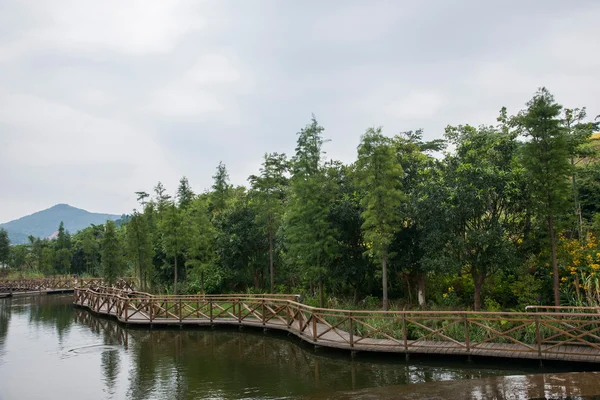 Shenzhen City, Guangdong Province, East Dameisha tea valley wetlands bridges — Stock Photo, Image