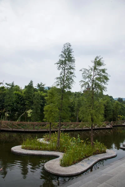 Shenzhen stad, guangdong provincie, Oost-dameisha thee vallei wetlands bruggen — Stockfoto