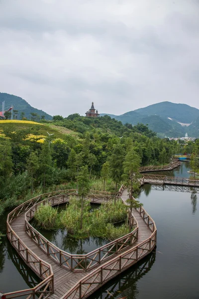 Ciudad de Shenzhen, provincia de Guangdong, este Dameisha té valle humedales puentes — Foto de Stock