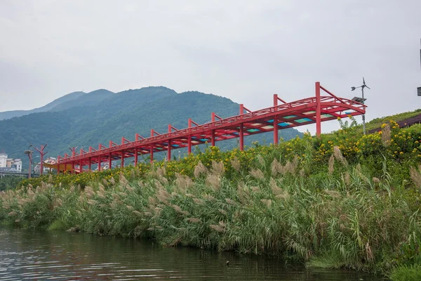 Shenzhen city, guangdong tartomány, keleten dameisha tea kecskelábú valley wetlands — Stock Fotó