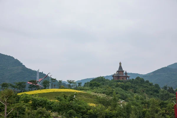 广东省深圳市东部大梅沙四个季节茶流流域湿地花田 — 图库照片