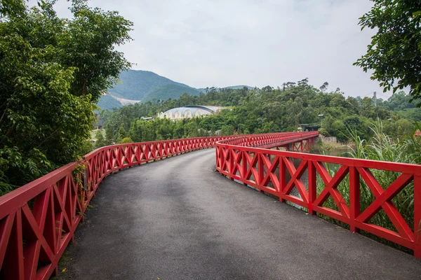 Shenzhen City, Guangdong Province, East Dameisha tea valley wetlands of Bald bridge — Stock Photo, Image