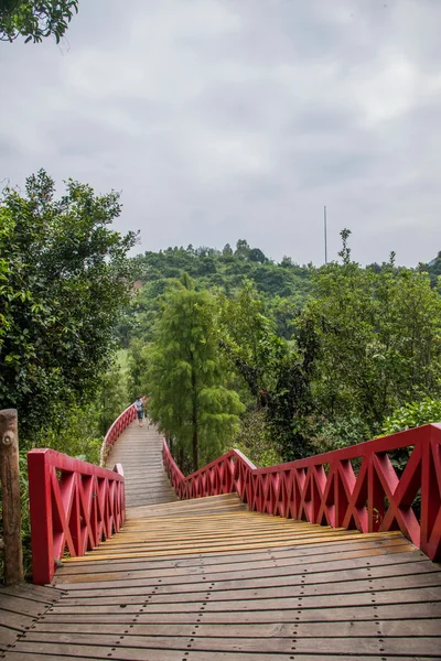 Ciudad de Shenzhen, Provincia de Guangdong, Dameisha Oriental humedales valle del té de puente calvo —  Fotos de Stock