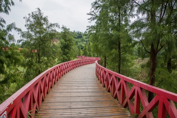 Shenzhen Stadt, Provinz Guangdong, East Dameisha Teetal Feuchtgebiete der kahlen Brücke — Stockfoto