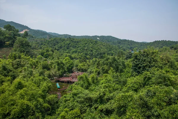 Shenzhen City, Guangdong Province, East Dameisha Tea Stream Valley Rainforest — Stock Photo, Image