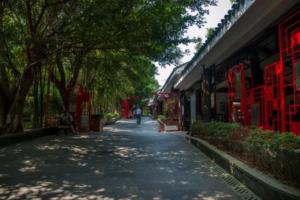Shenzhen city, guangdong Eyaleti, Doğu dameisha çay akarsu Vadisi eski çay kasaba banpo sokak yüz çay ekran — Stok fotoğraf