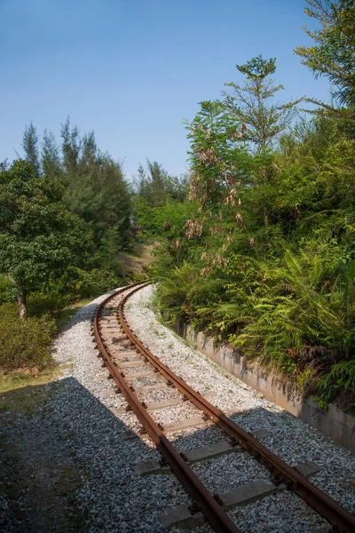 Ville de Shenzhen, province du Guangdong, East Dameisha tea valley forest train railway — Photo