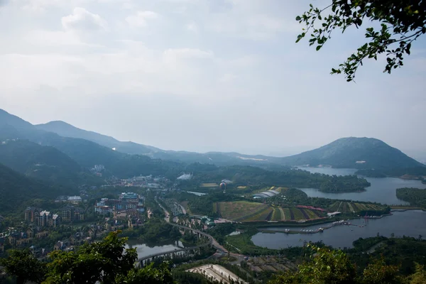 Ciudad de Shenzhen, provincia de Guangdong, humedales del valle del arroyo del té de Dameisha oriental — Foto de Stock