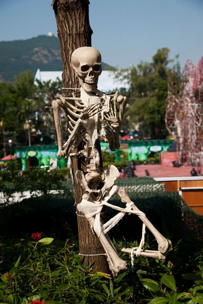 Ocean Park Hong Kong human bone specimens — Stock Photo, Image