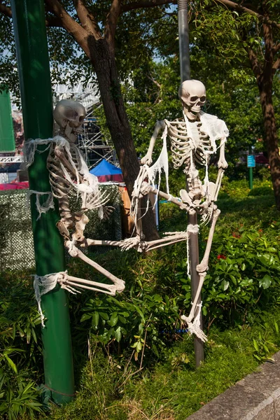 Ocean Park Hong Kong human bone specimens — Stock Photo, Image