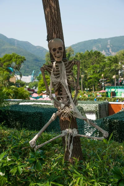 Образцы костей человека из Ocean Park Hong Kong — стоковое фото