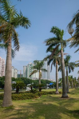 yol, zhuhai, guangdong çift waterfront sokak park