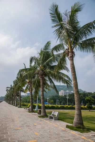 Road, zhuhai, guangdong paar promenade — Stockfoto